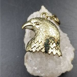 Bald eagle stern face necklace pendant charm. P116